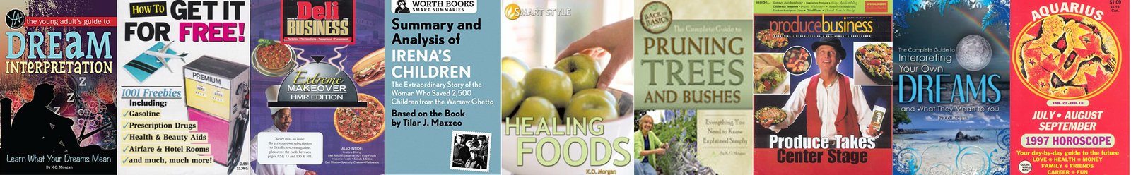 Book Writer Author Ghostwriter